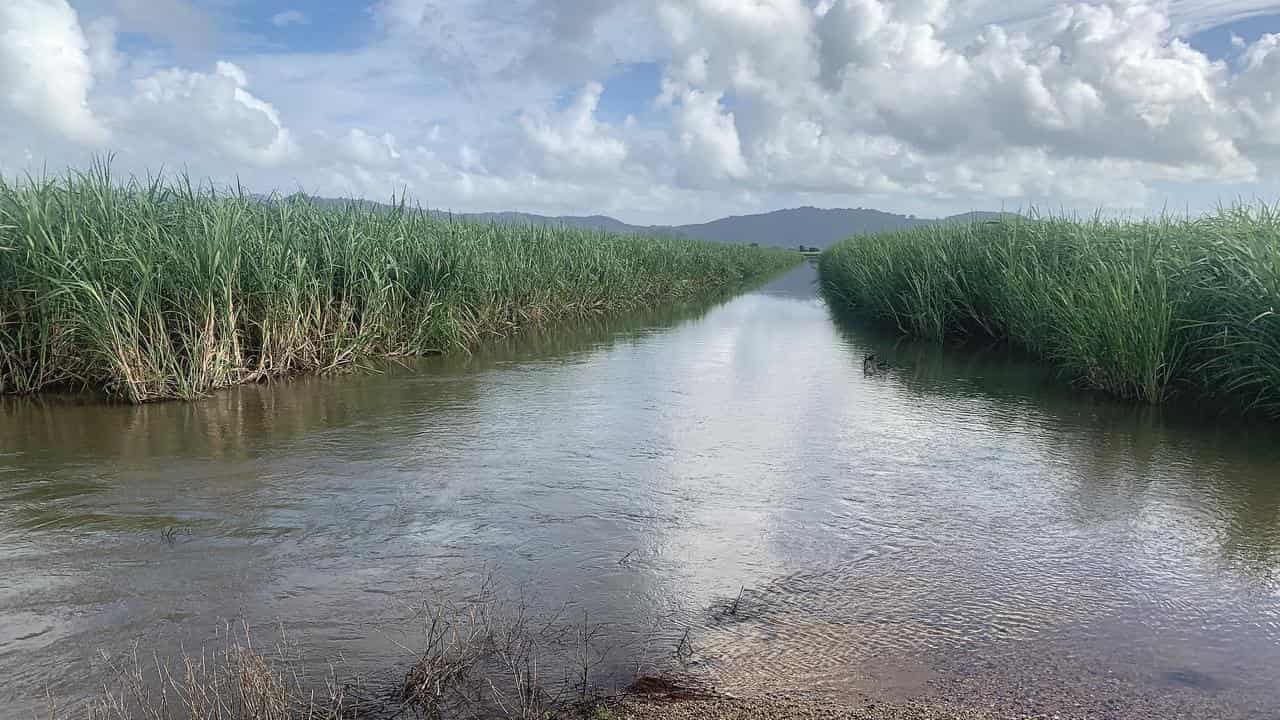 'Feast or famine': farmers count the cost of heavy rain