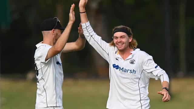 Rocchiccioli stars as WA roll Victoria in Shield clash