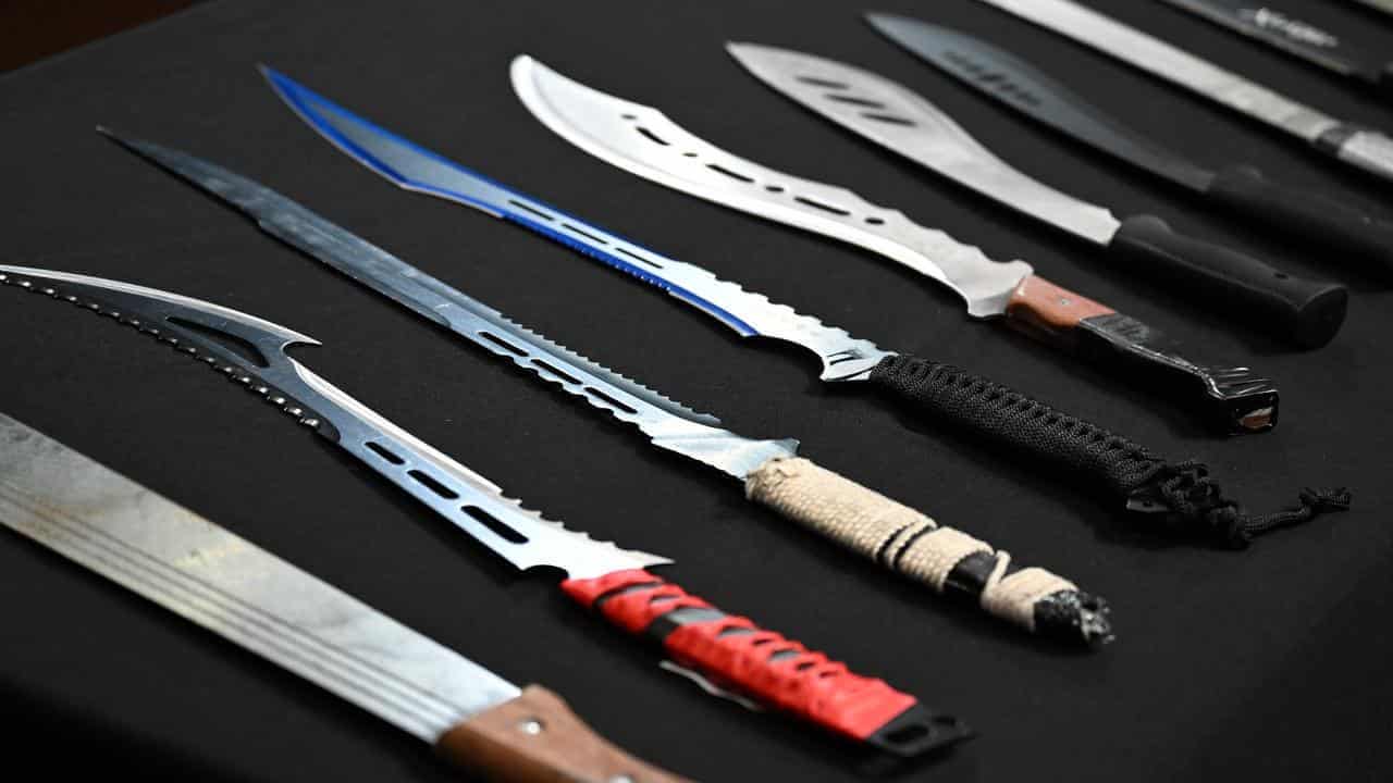 Hunt for machete killers amid calls for immediate ban