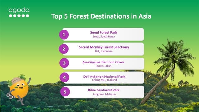 Branching Out: Agoda Unveils Top 5 Forest Escapes in Asia for Nature Lovers