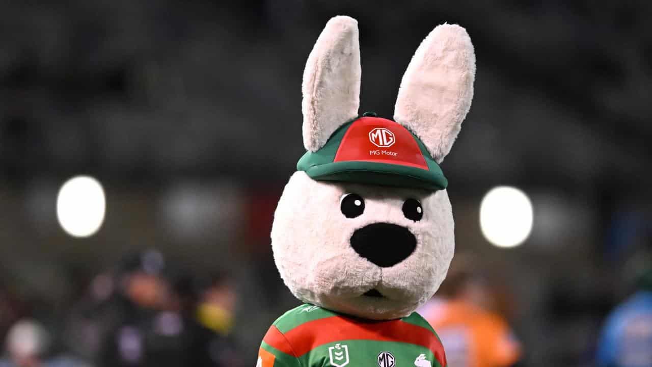 Rabbitohs bunny man sorry over child pushing incident