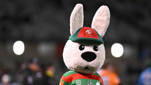 Rabbitohs bunny man sorry over child pushing incident