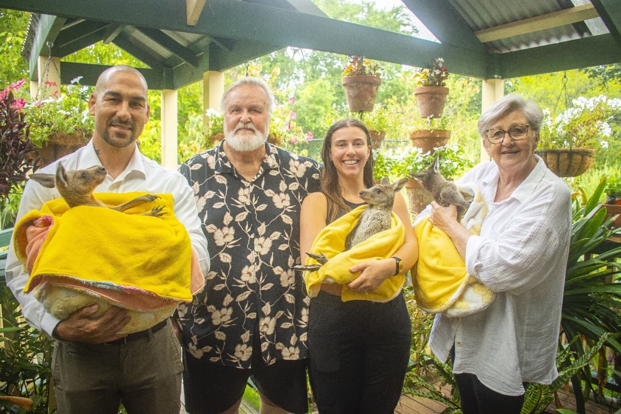 GoodWe Powers Wildlife Rescue with Donated Solar System in Australia