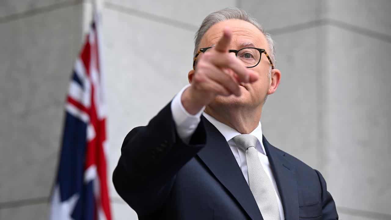 'Turning the corner': Albanese's on point for campaign