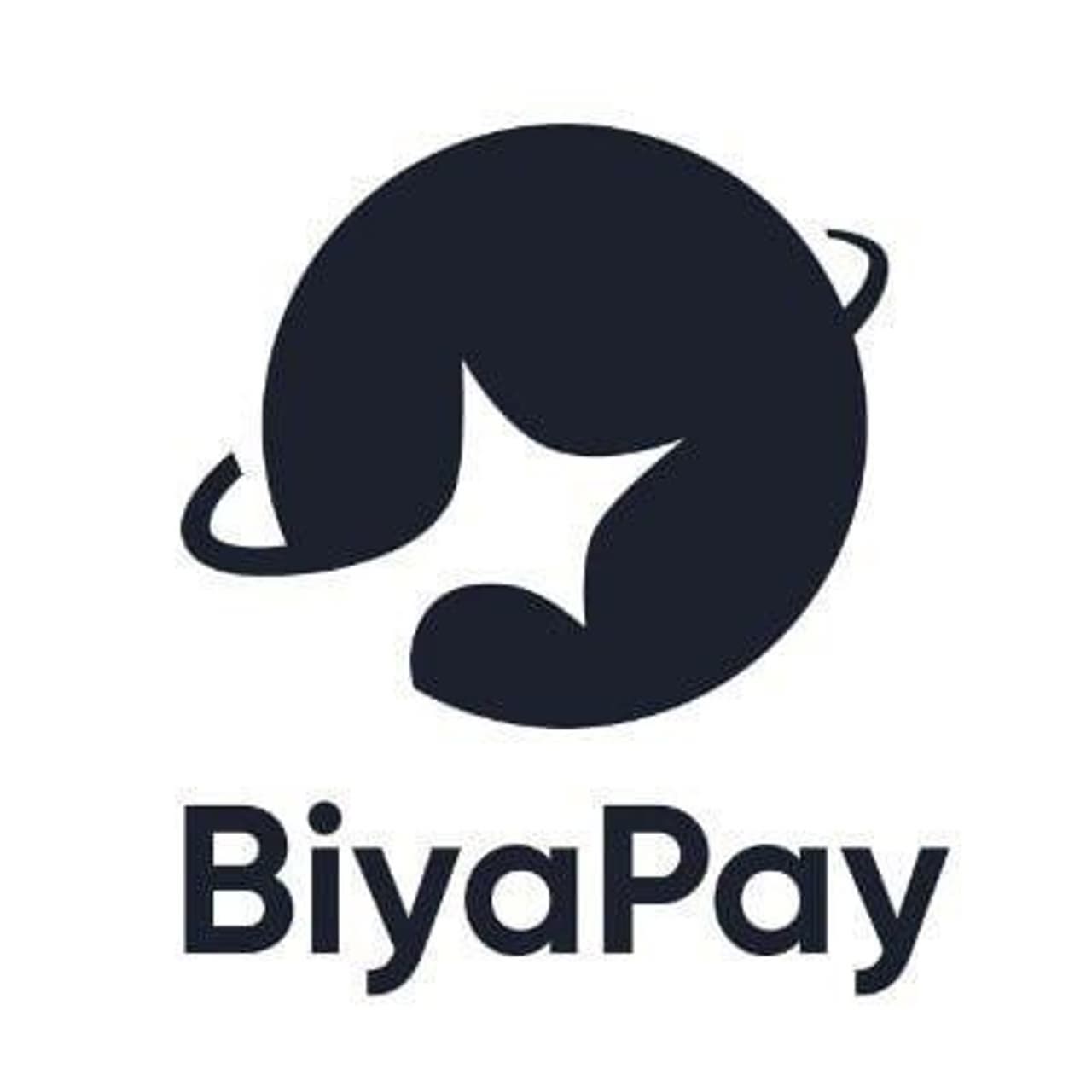 Why Are There No New Users in the Crypto Market? How Multi-Asset Trading Wallet BiyaPay Is Finding New Solutions Amidst Fierce Competition and User Confusion ？