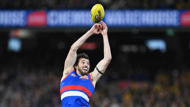 Western Bulldogs humming without sidelined stars