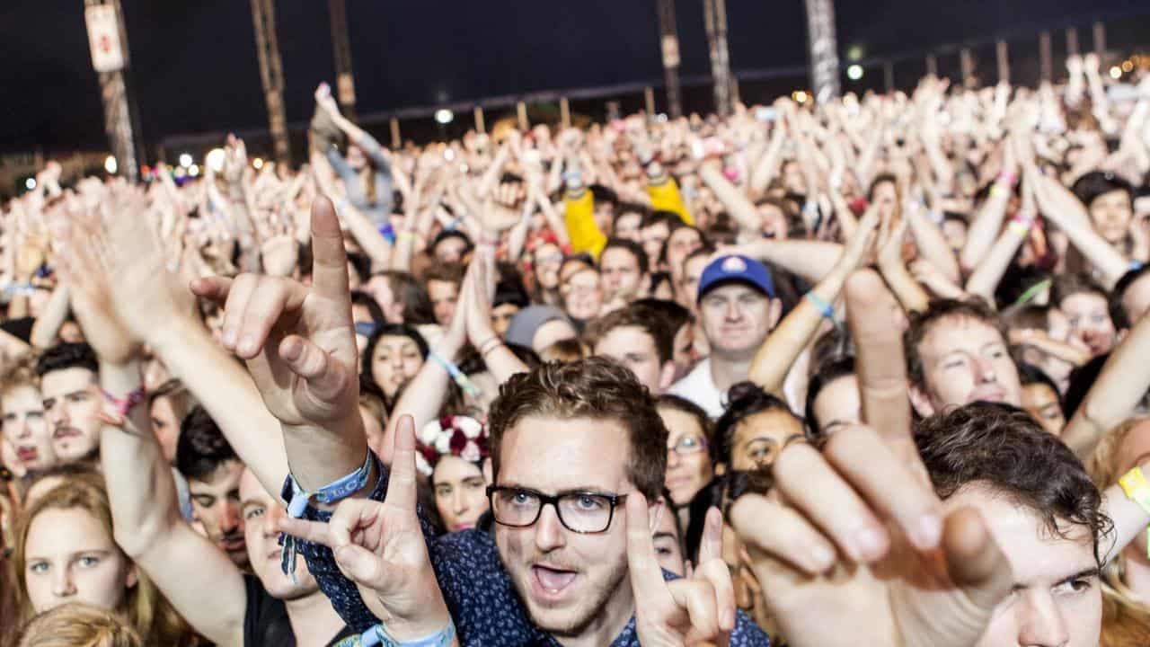 Reformers back drug summit on sniffer dogs and driving