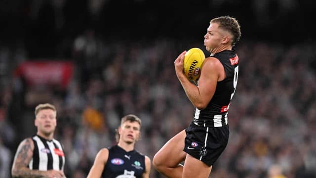 Problem for Houston as Pies give Carlton the blues