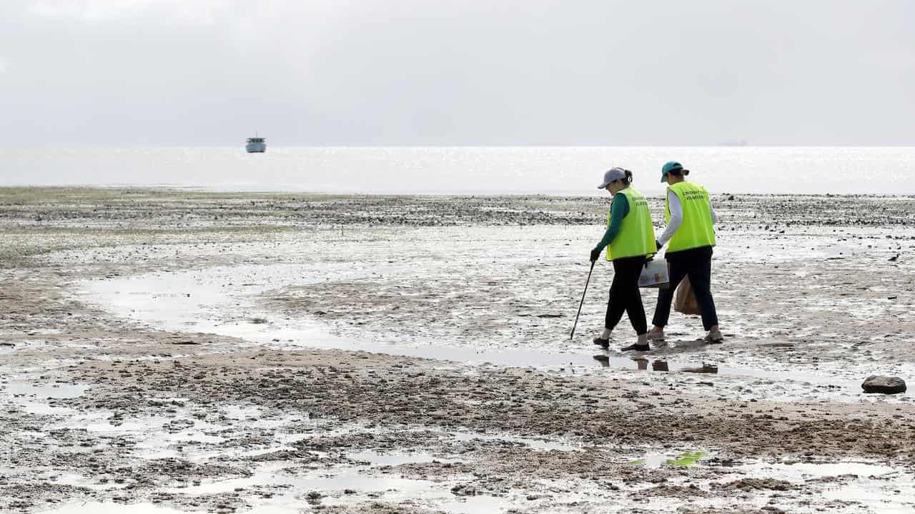 Beaches much cleaner as litterbugs get the message