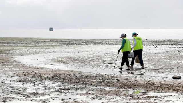 Beaches much cleaner as litterbugs get the message