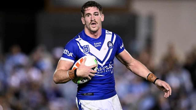 Family pedigree ensures Hayes can be top prop for Dogs