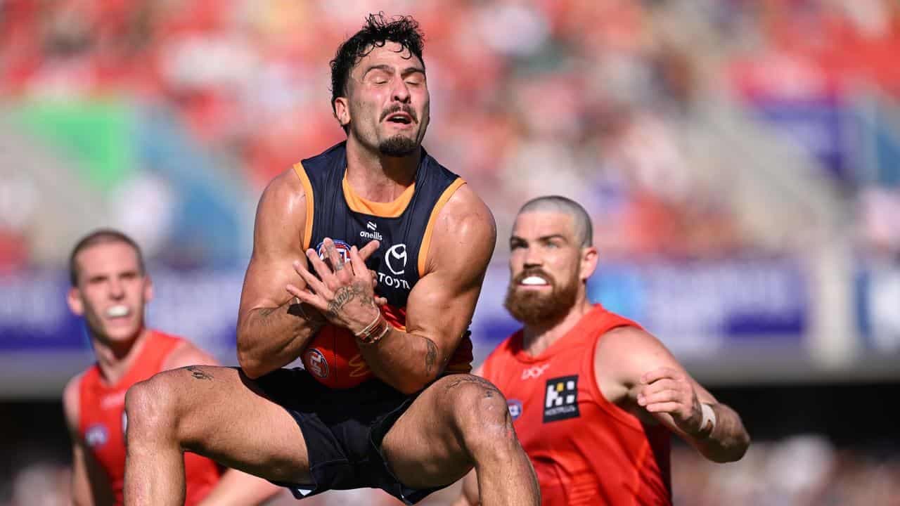 Crows say AFL confirming umpire mistake is of no use