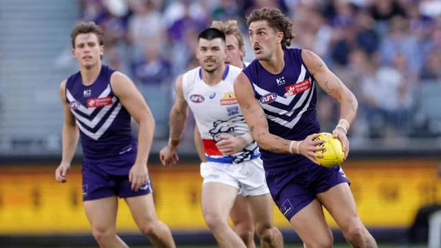 Freo trio injured, but brave Dockers hold off Bulldogs