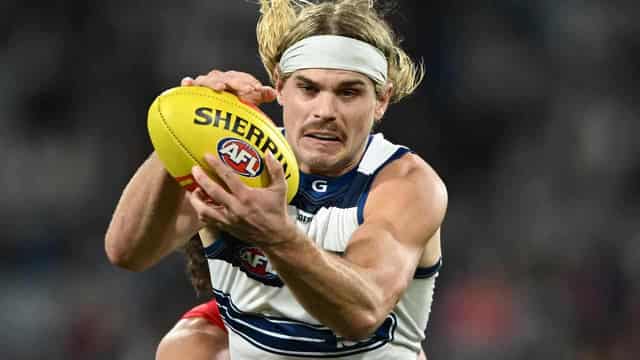 AFL fines Cats' Smith $1000 for flipping off fan