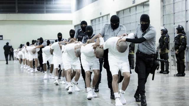 US deportees offered in swap for 'political prisoners'
