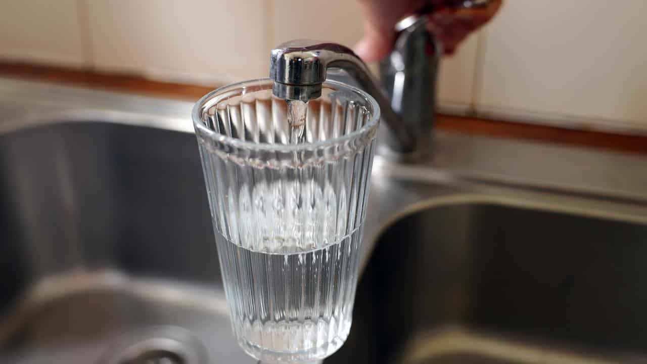Water fasting doesn't make body remove all cancer, Alzheimer's cells