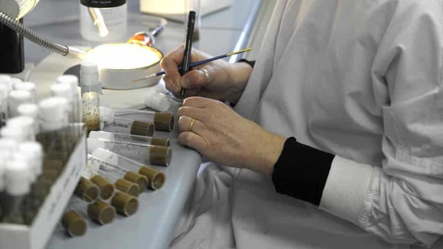 Wave of case issues expected in mass DNA retesting