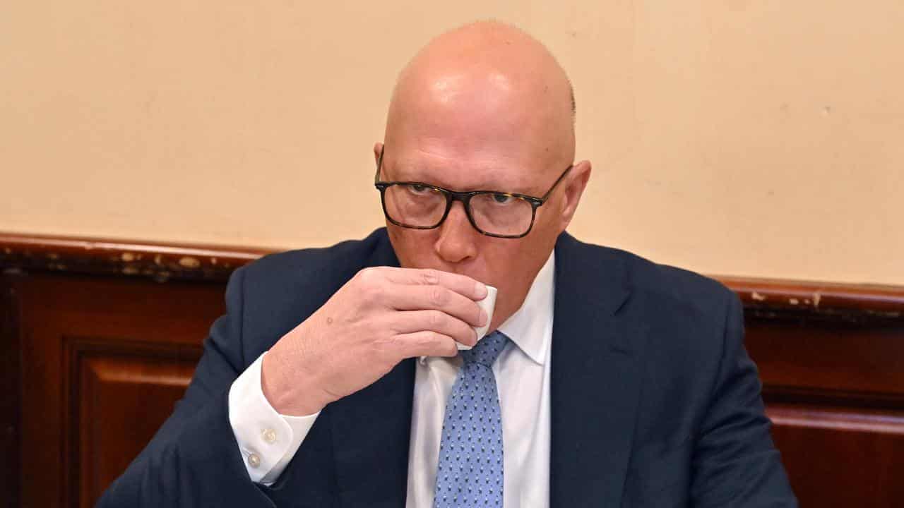 Dutton's election tea leaves are wilting after bad poll