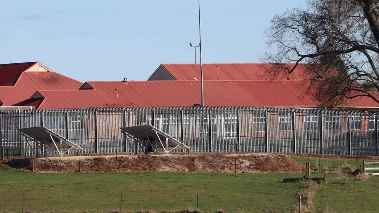 Public service child abuse reports spike after inquiry