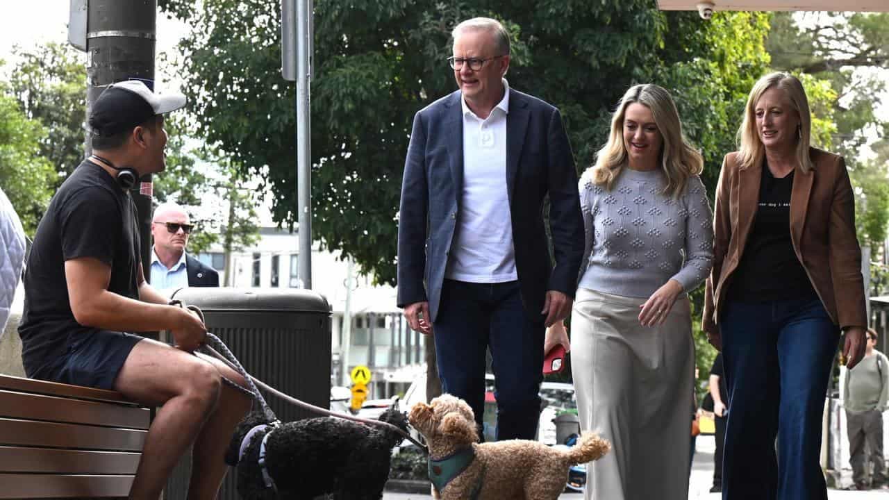 Albanese takes victory lap after Labor landslide