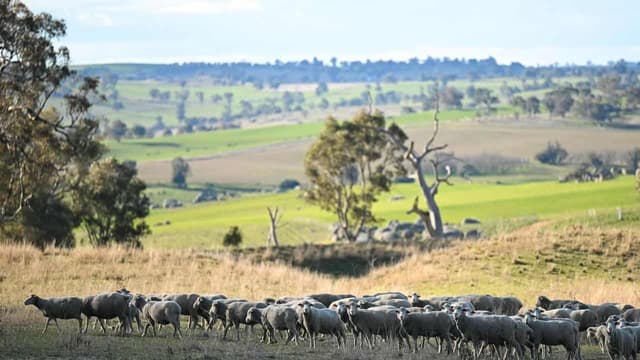 Australian farmland values just keep on growing