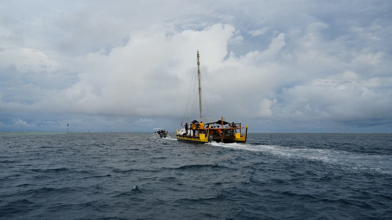 Palauan Voyaging Canoe Alingano Maisu Nears Taiwan: A Cross-Pacific Cultural Exchange Anchored in Indigenous Maritime Traditions