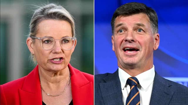Regaining trust: duel to decide future Liberal leader