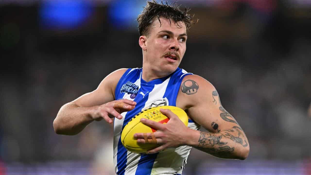 Pluck of the draw as Kangaroos share points with Lions