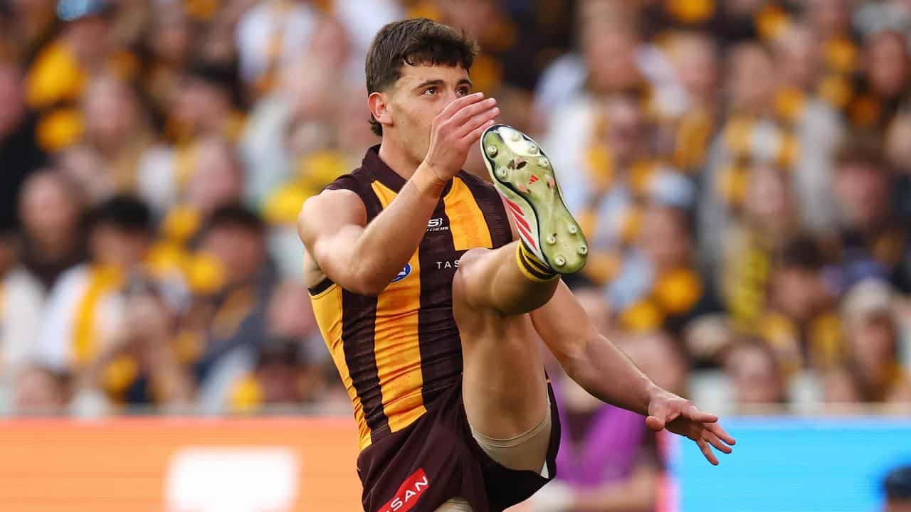 D'Ambrosio eyes NT gear change with Hawks set to fly