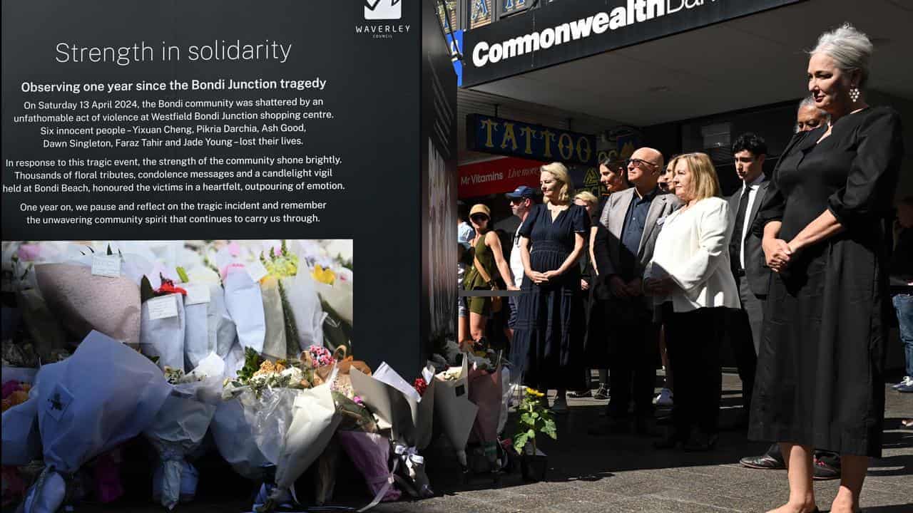Shopping mall killer's psychiatrist to face questioning