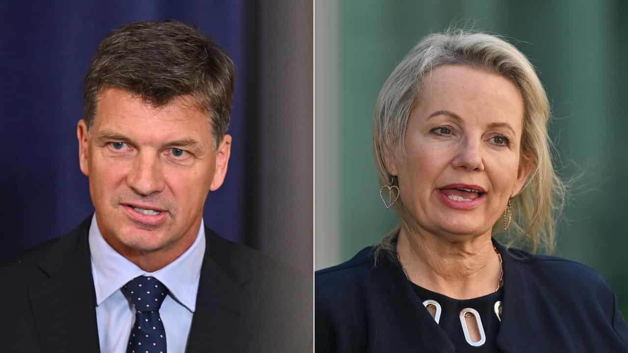 Tough ask ahead as Liberals gather to crown next leader