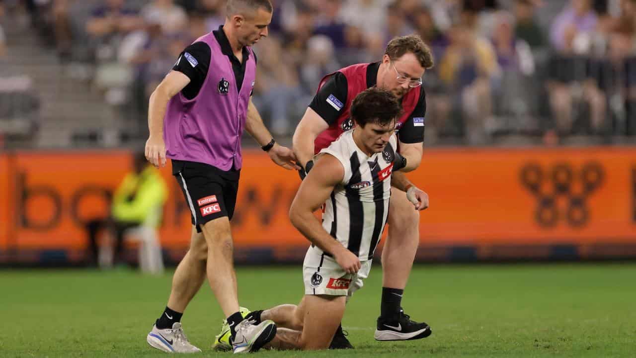 AFL admit 'failed' process in umpire debacle