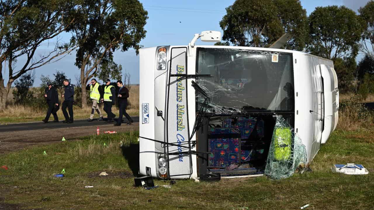 Primary school bus driver describes moment of crash