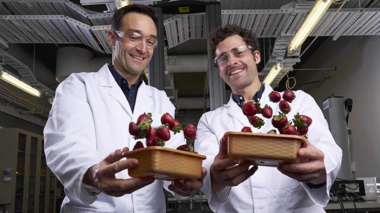 Strawberry shields forever: bioplastic cuts fruit waste