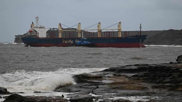 Ship's near stranding exposes emergency response flaws