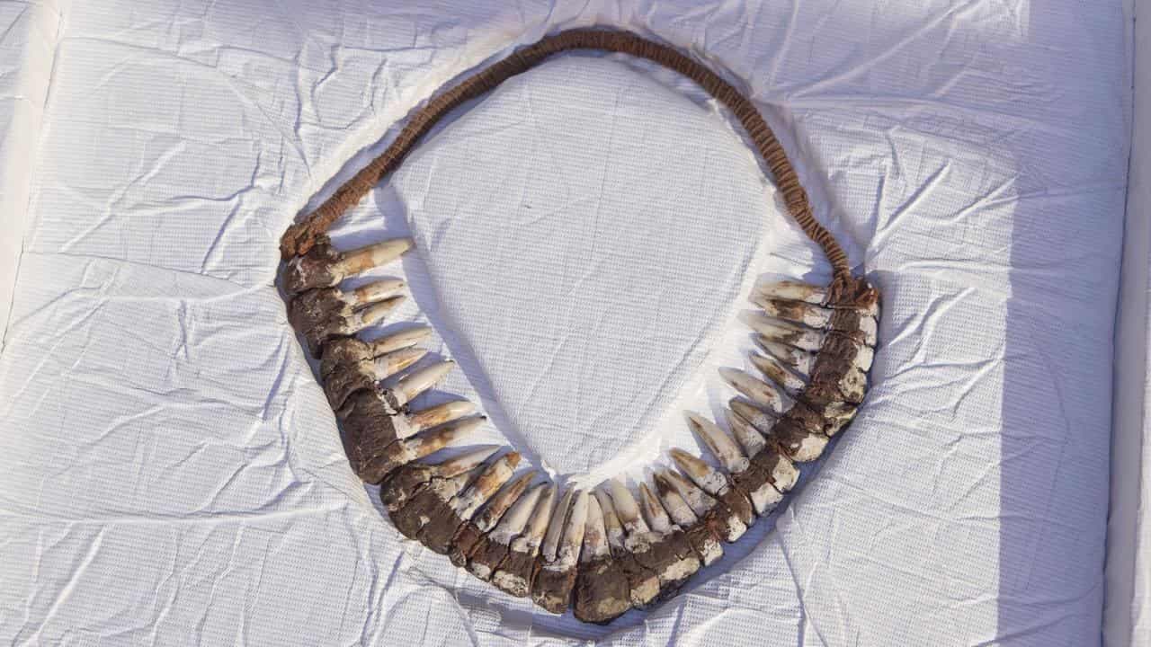 Roo-tooth headband among artefacts returned from US