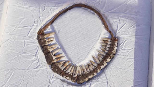 Roo-tooth headband among artefacts returned from US