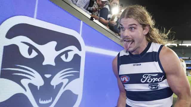 Dogs coach takes a catty nip ahead of Smith showdown