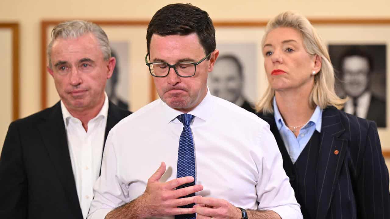 Party elder sure Nationals will mend coalition fences