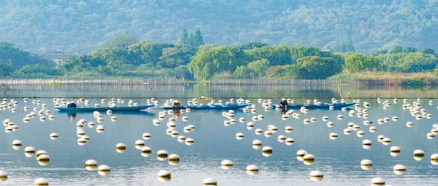 CCTV+: A Pearl of Wisdom: Deqing's Aquaculture Legacy Gains Global Recognition