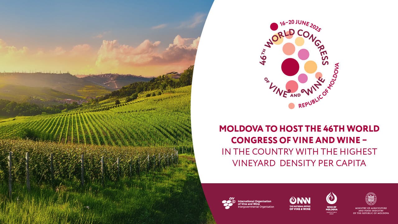 Moldova to Host the 46th World Congress of Vine and Wine - in the Country with the Highest Vineyard Density per Capita