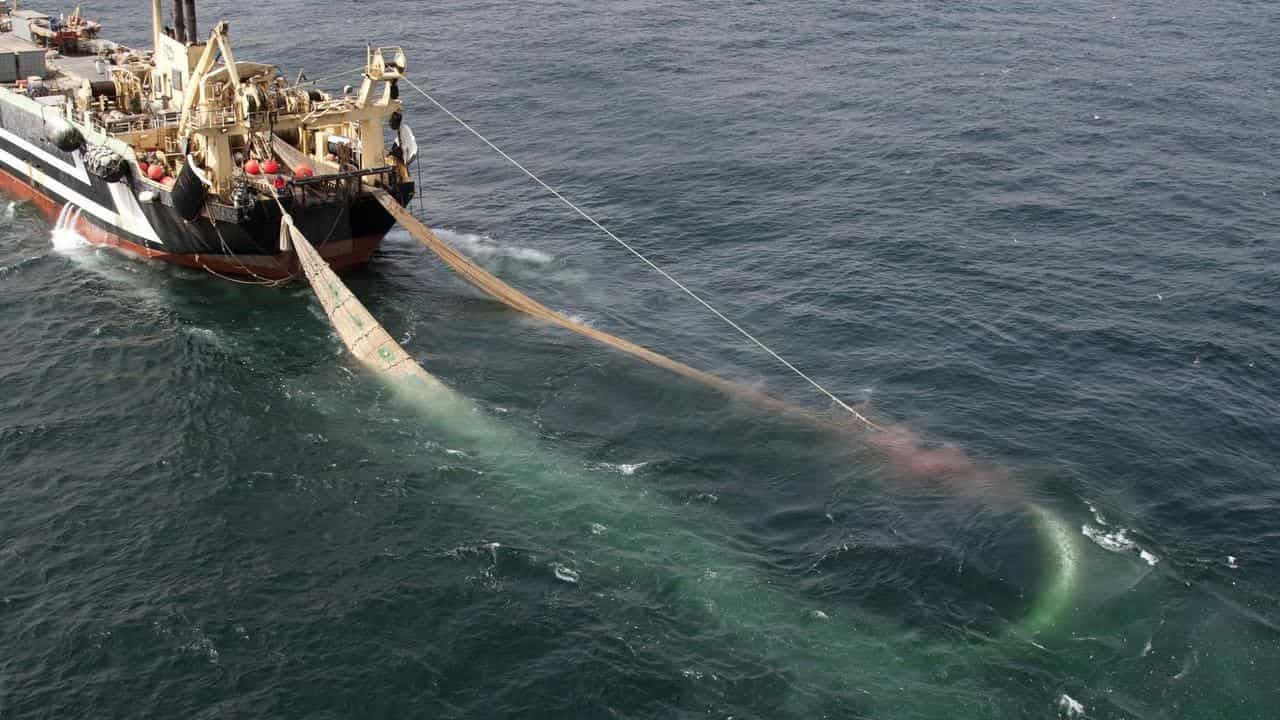 High sea hopes for treaty to preserve vast underwater