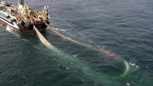 High sea hopes for treaty to preserve vast underwater