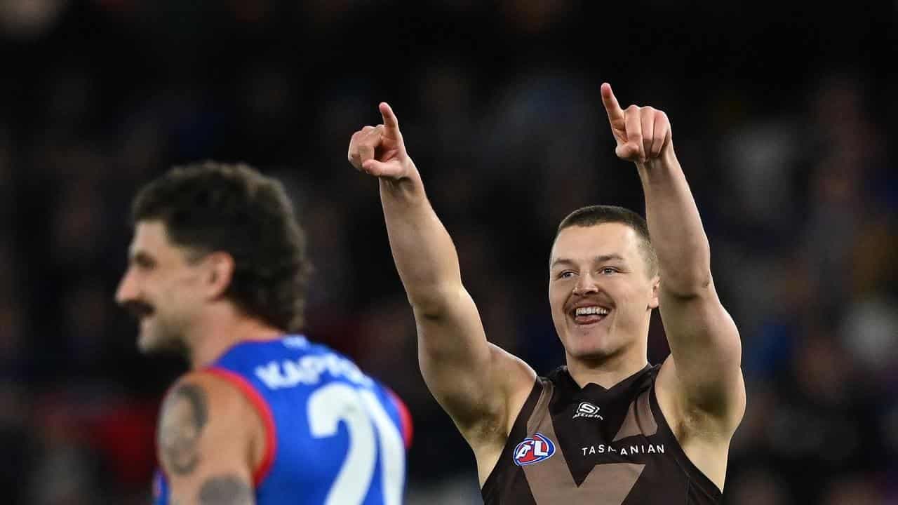 'Bro can't have fun' - Hawk unmoved after taunting Dogs