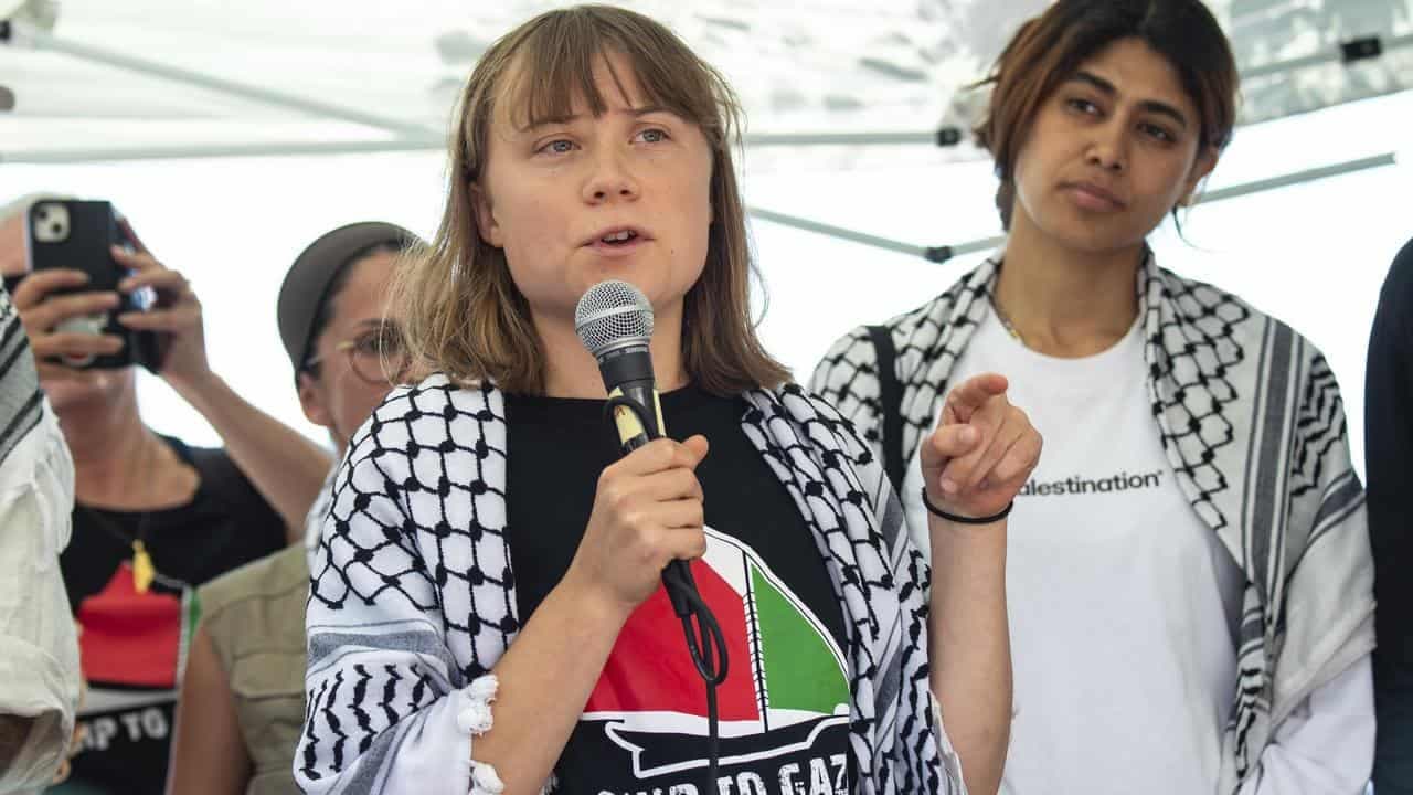 IDF statement wishing Greta Thunberg an 'enjoyable visit' to Gaza is fake