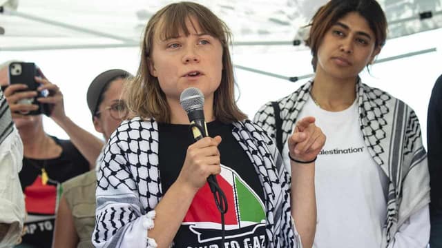 IDF statement wishing Greta Thunberg an 'enjoyable visit' to Gaza is fake