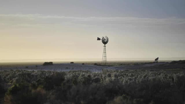 'Poor management': regulator in hot water over licences