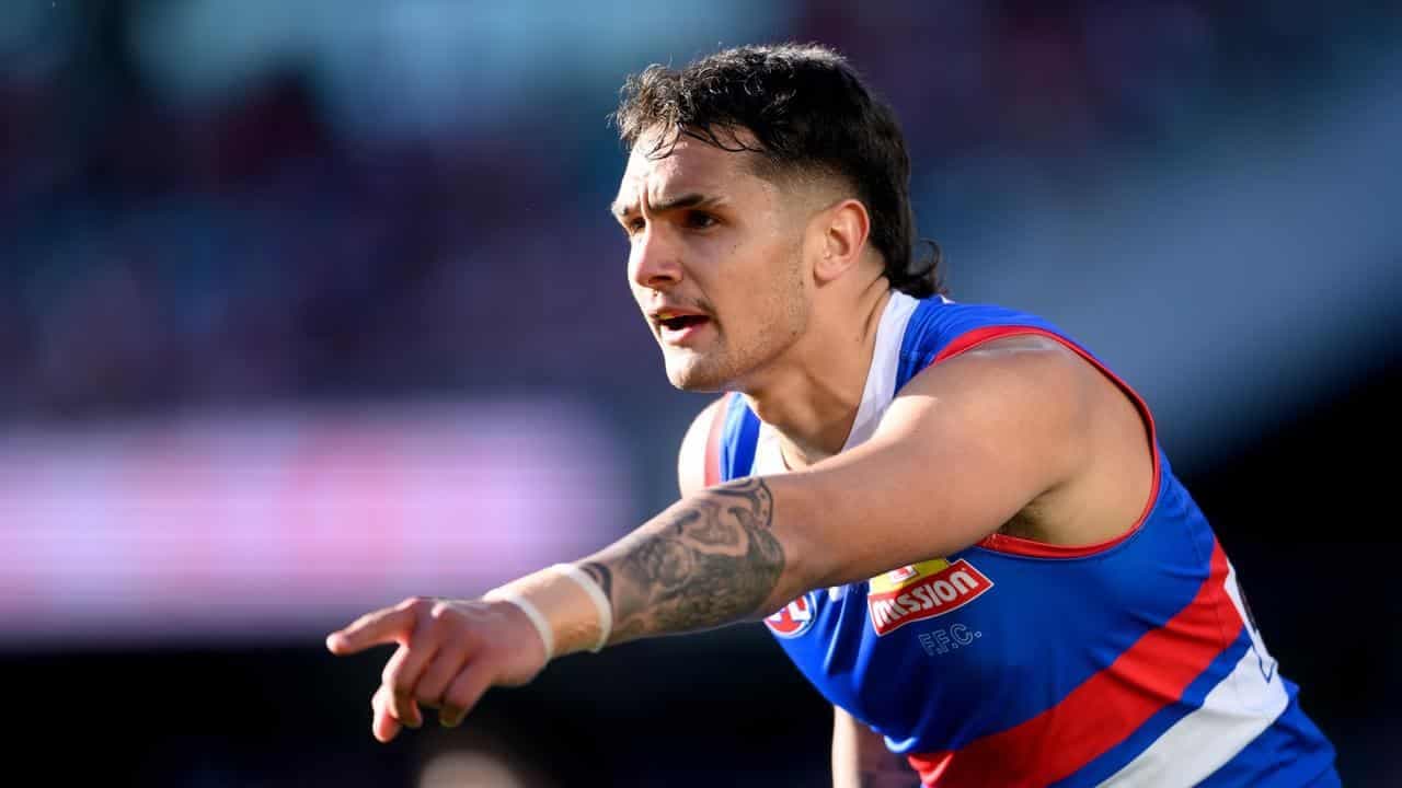 'Our powder dry': Dogs unsure when star plays again