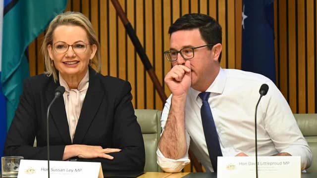 Ley pledges 'alternatives Australians can believe in'