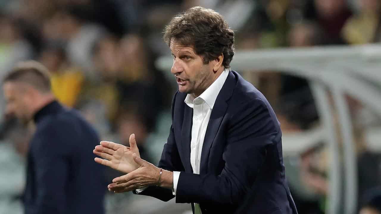 Be bold and brave: Montemurro gives Matildas wings